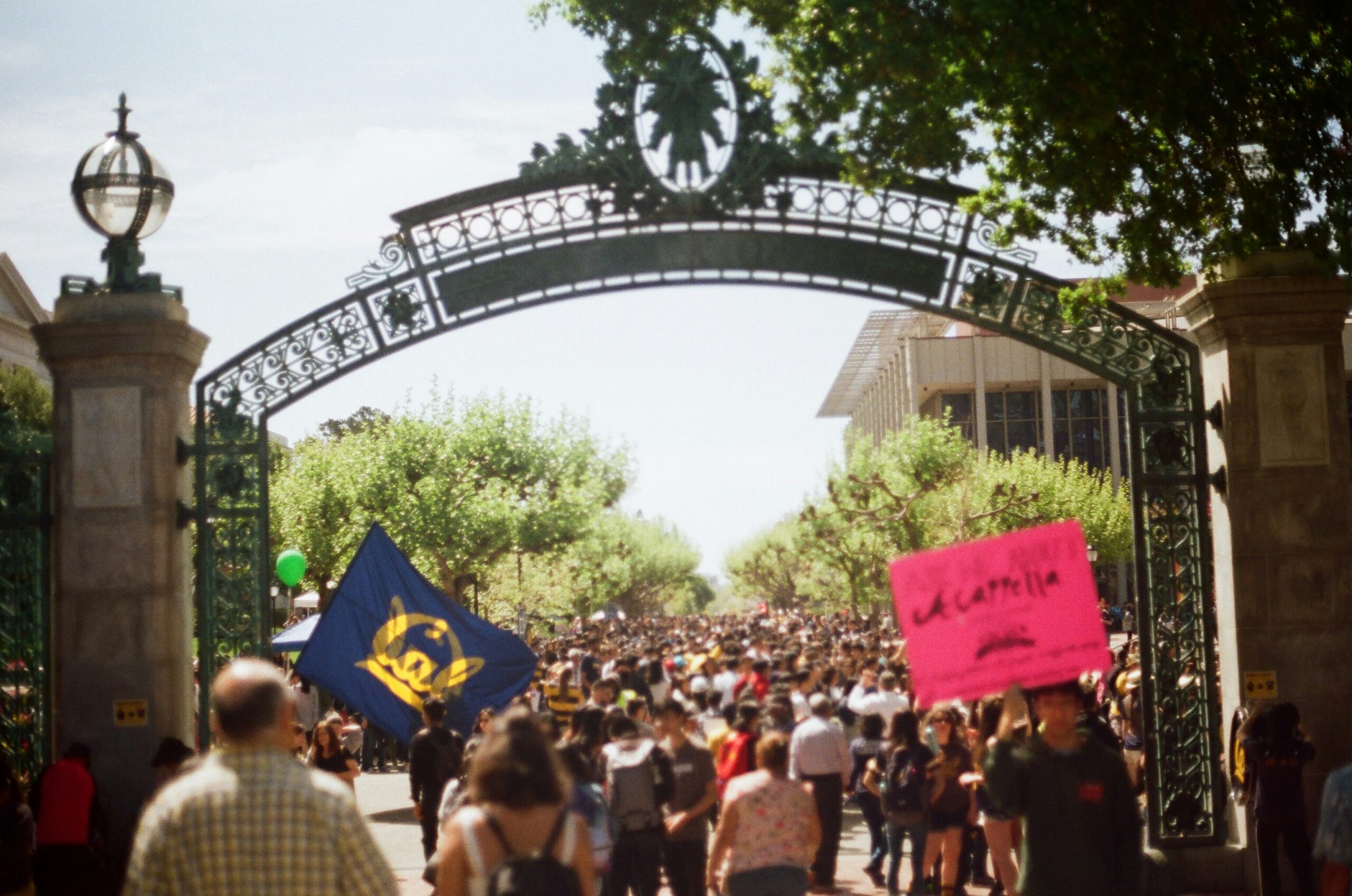 College Solidarity